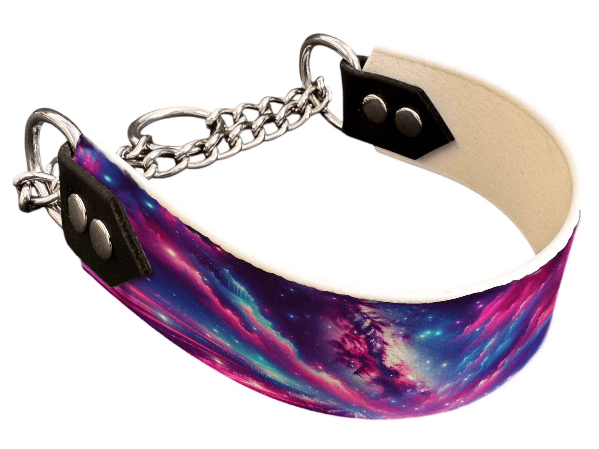 L'atelier du Fourmilier Martingales 43 Martingale pour chien en BioThane® imprimé – Collection galaxie – 38mm