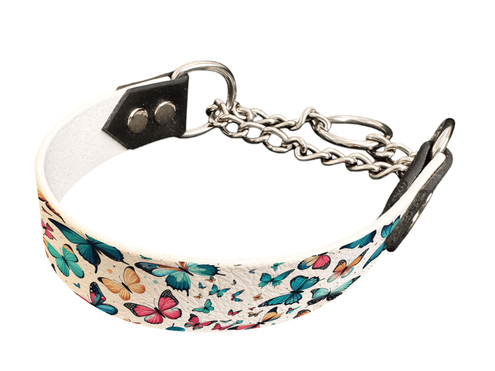 L'atelier du Fourmilier Martingales 54 Martingale pour chien en BioThane® imprimé – Collection insectes– 25mm