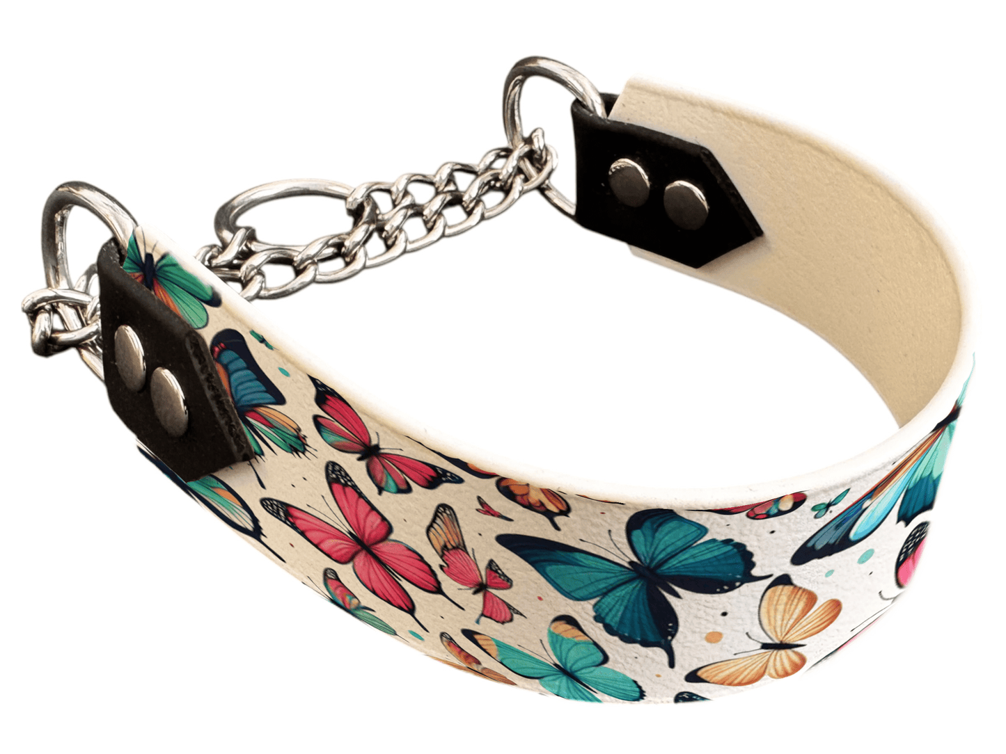 L'atelier du Fourmilier Martingales 54 Martingale pour chien en BioThane® imprimé – Collection insectes– 38mm