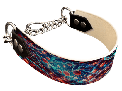 L'atelier du Fourmilier Martingales 55 Martingale pour chien en BioThane® imprimé – Collection abstrait – 38mm