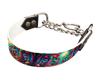 L'atelier du Fourmilier Martingales 72 Martingale pour chien en BioThane® imprimé – Collection forêt enchantée – 25mm