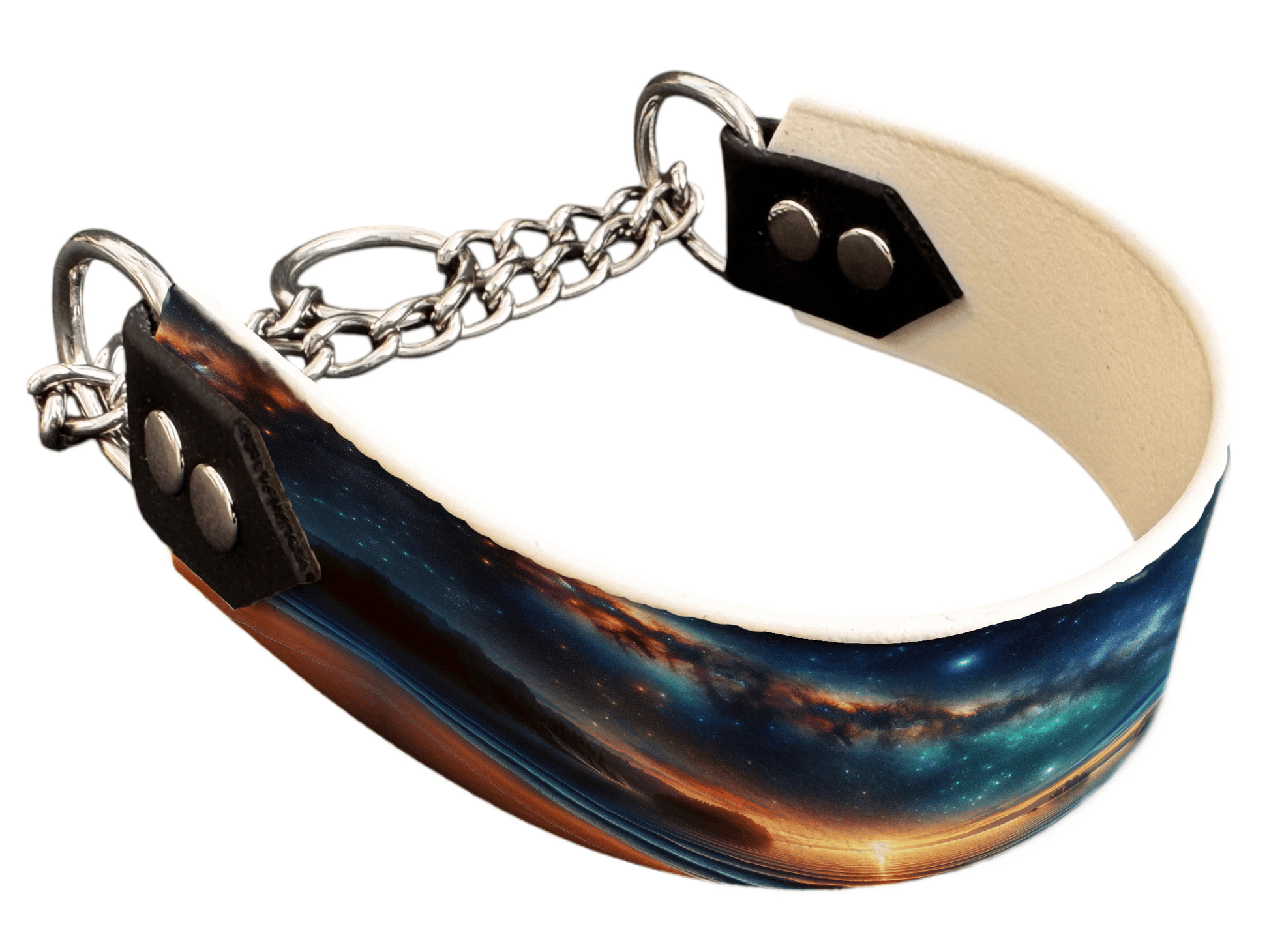 L'atelier du Fourmilier Martingales 92 Martingale pour chien en BioThane® imprimé – Collection paysage– 38mm