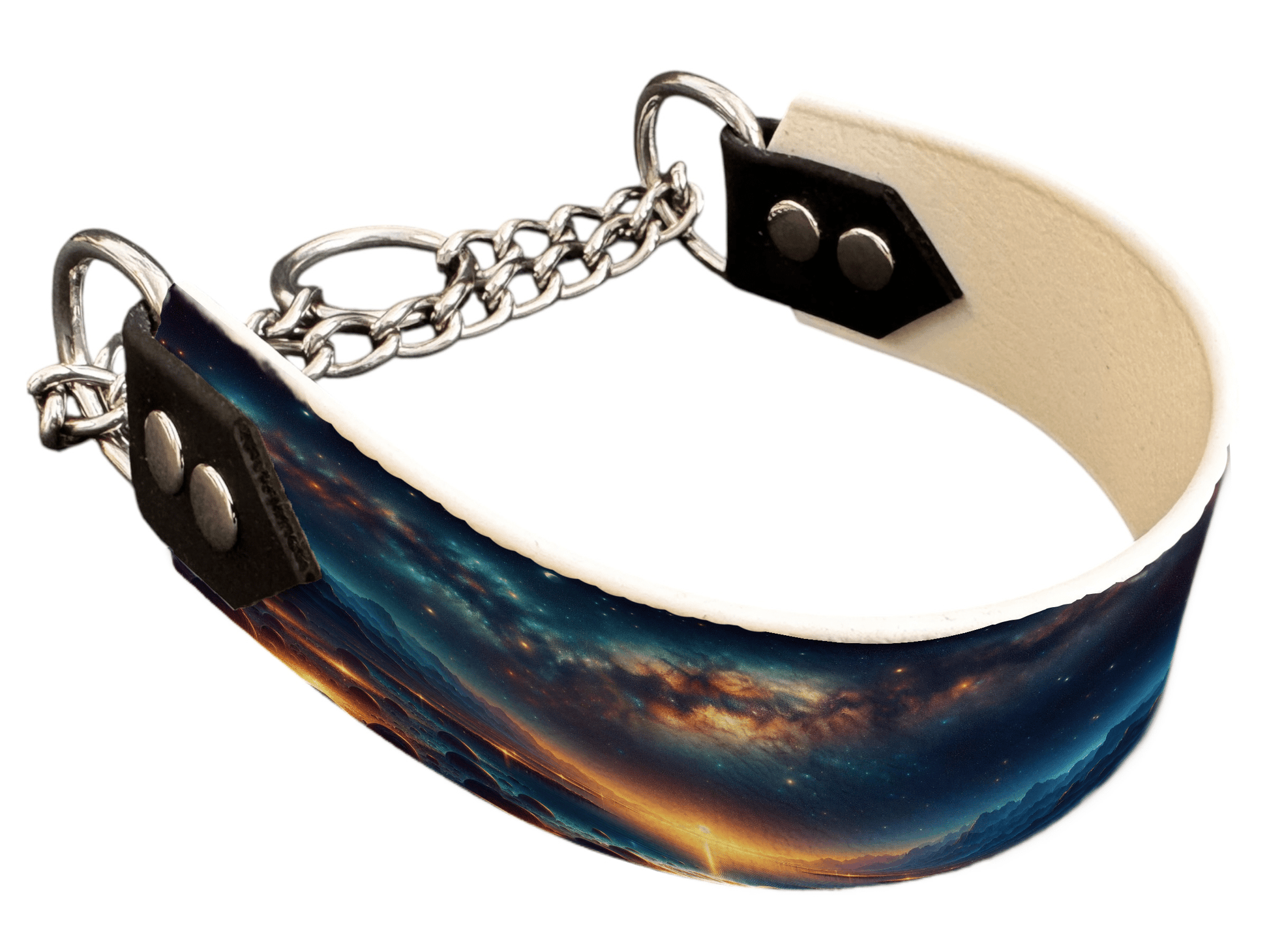 L'atelier du Fourmilier Martingales 93 Martingale pour chien en BioThane® imprimé – Collection paysage– 38mm