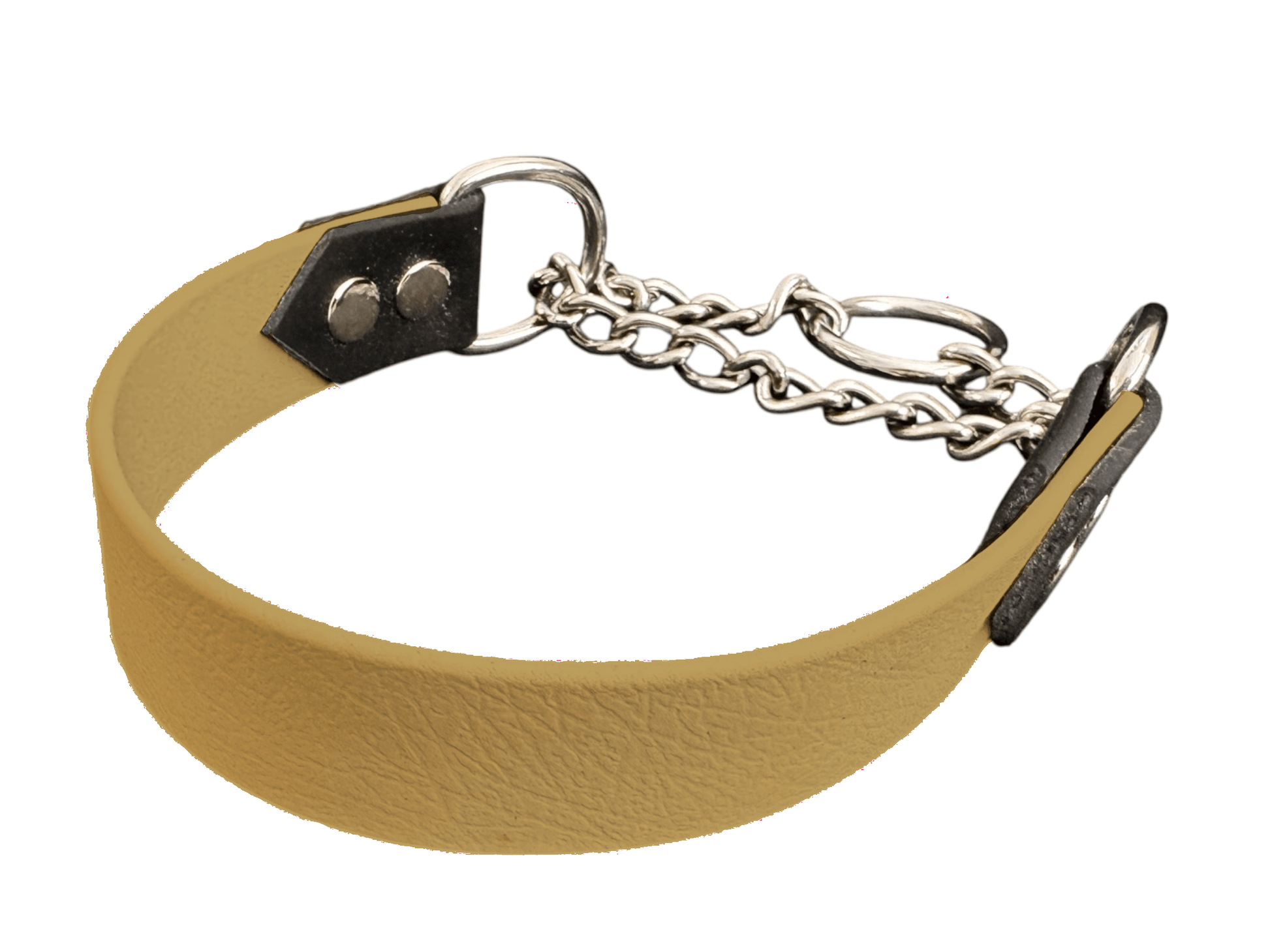 L'atelier du Fourmilier Martingales Doré Collier Martingale large (25 mm)