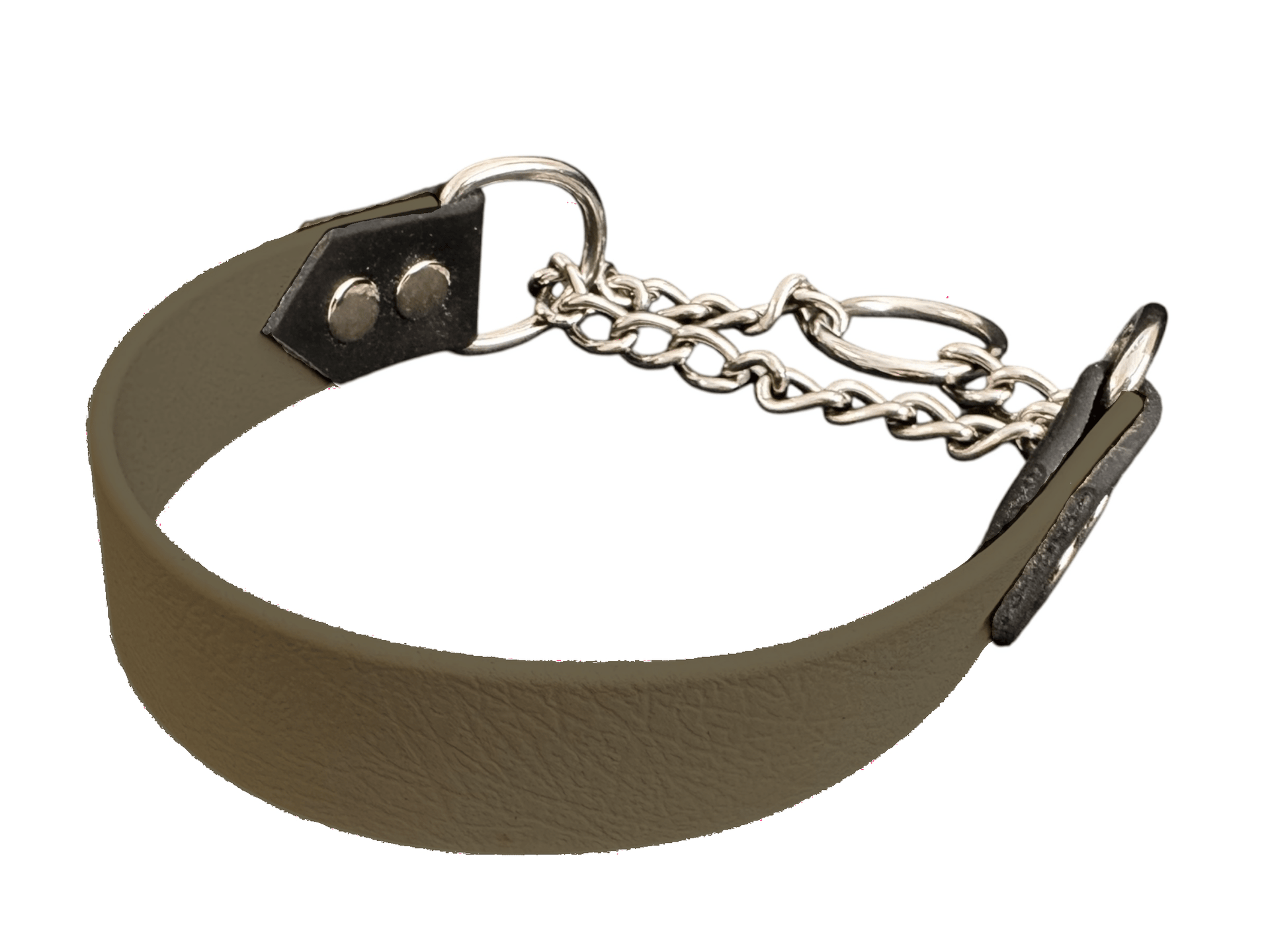 Martingale Anglaise CWD En Cuir Plat - Taille 2 (Cob) - Neuve Avec Décoloration