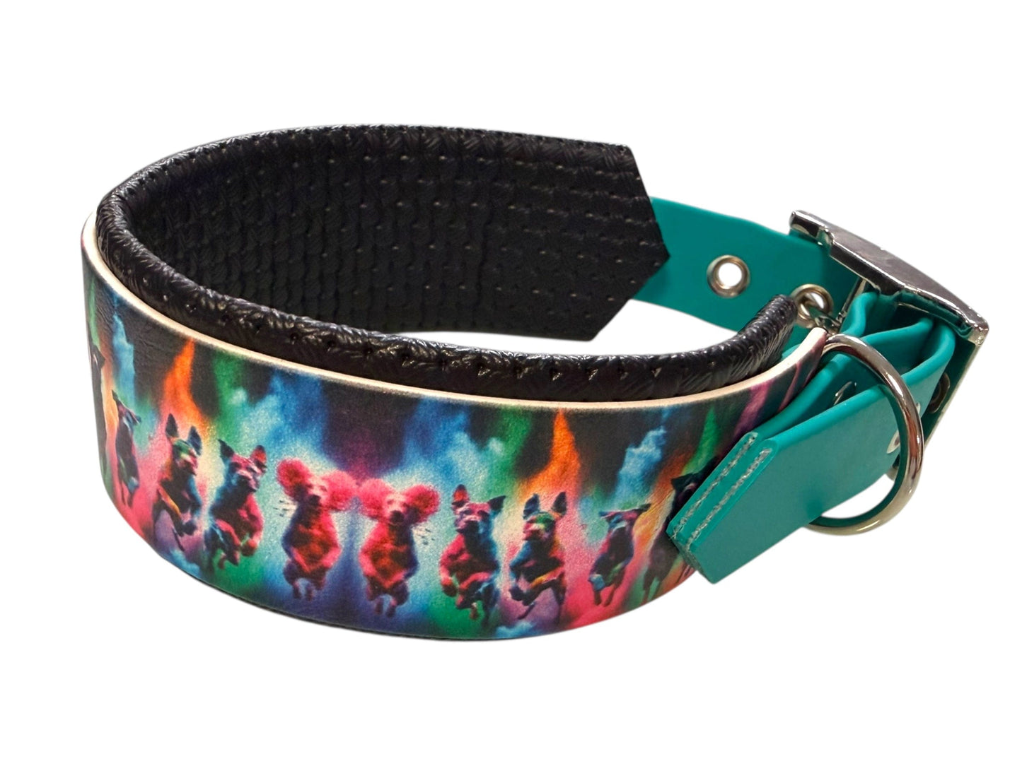 L'atelier du Fourmilier Promo M Collier BioThane® imprimé doublé mousse – finition teal - Taille M