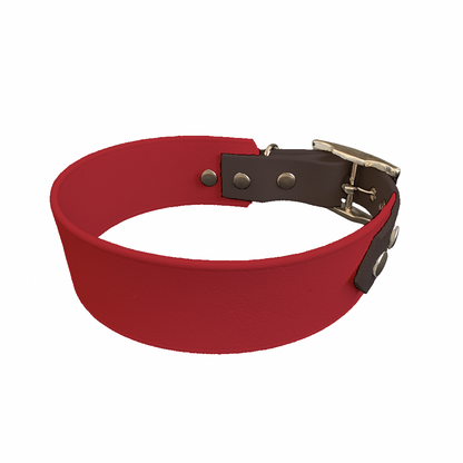 Collier Large Bicolore en BioThane® – 38 mm / 25 mm – coloris personnalisable