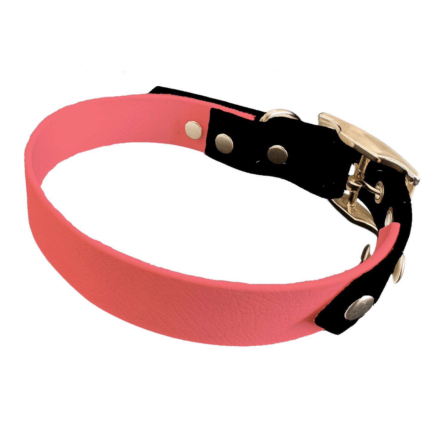 Collier Bicolore en BioThane®  19 mm – coloris personnalisable