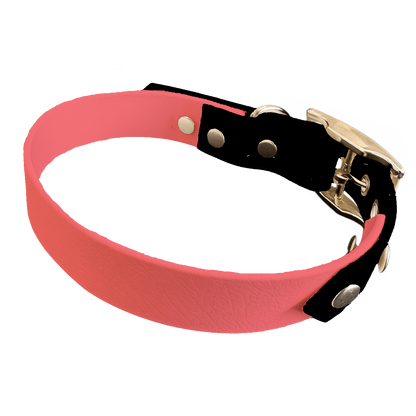 Collier Bicolore en BioThane®  19 mm – coloris personnalisable