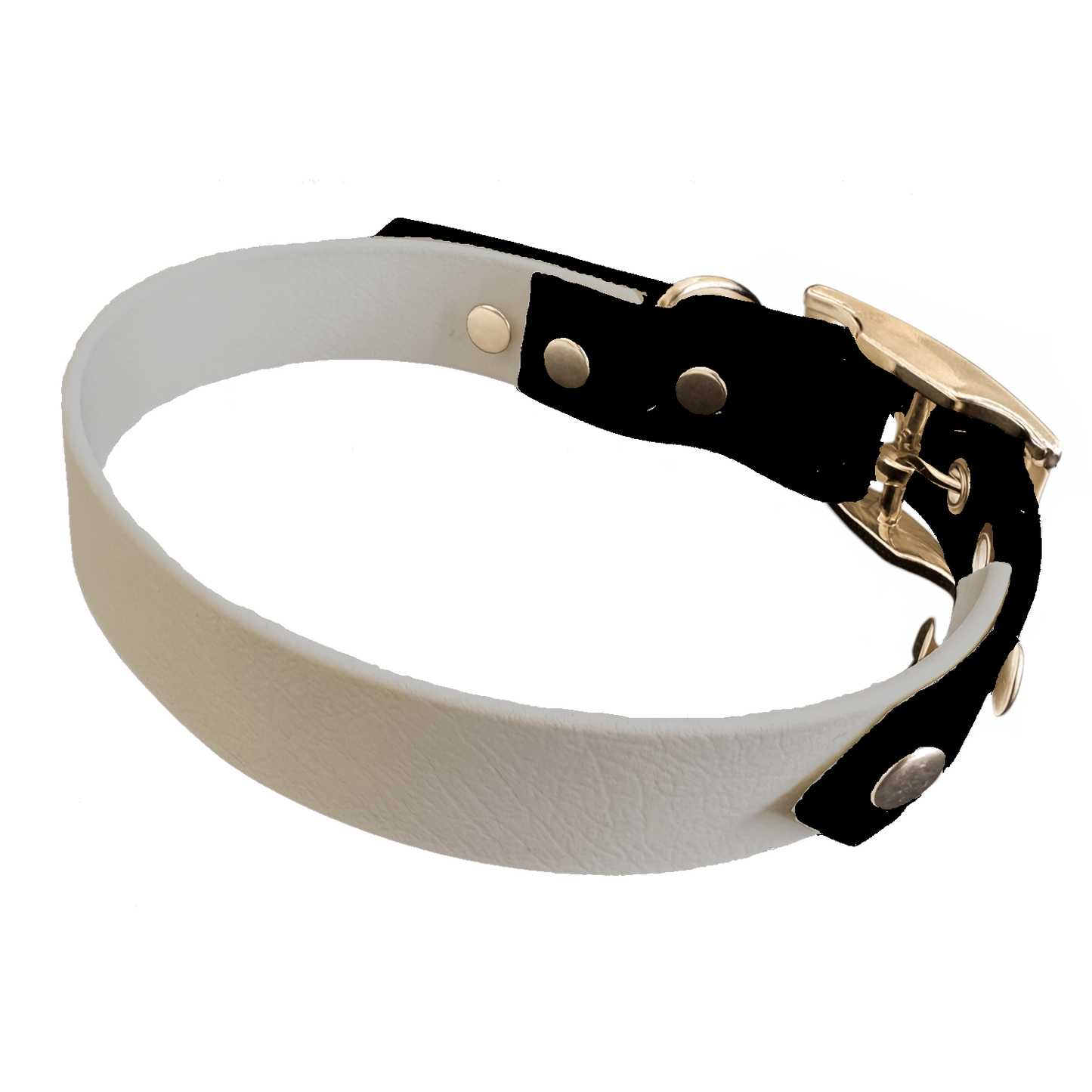 Collier Bicolore en BioThane®  19 mm – coloris personnalisable