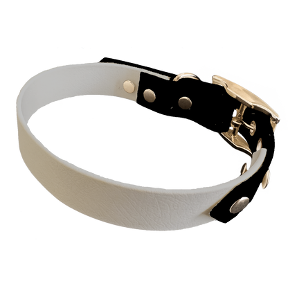 Collier Bicolore en BioThane®  19 mm – coloris personnalisable