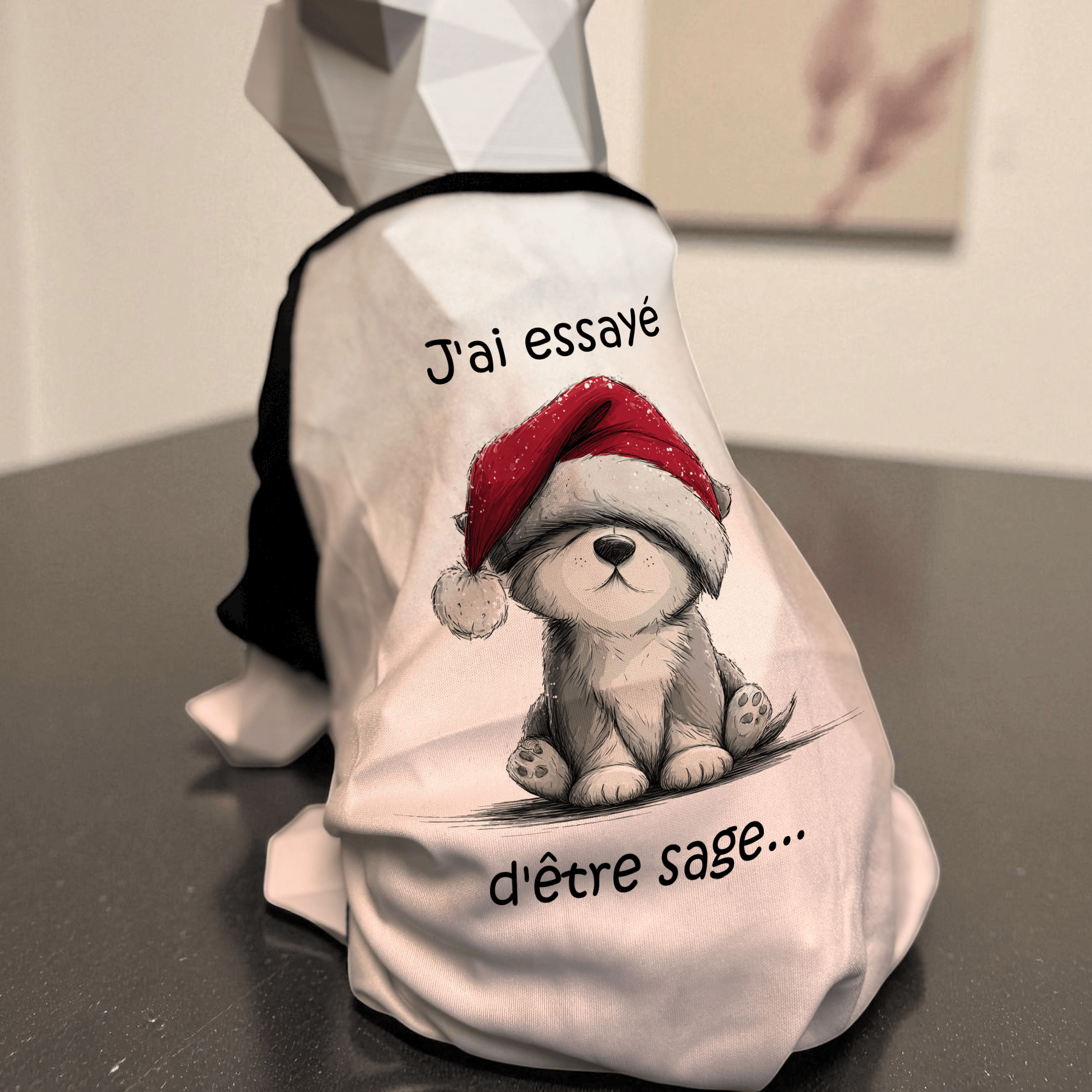 Atelier du Fourmilier tee-shirt T-shirt de Noël pour chien « J’ai essayé d’être sage… »