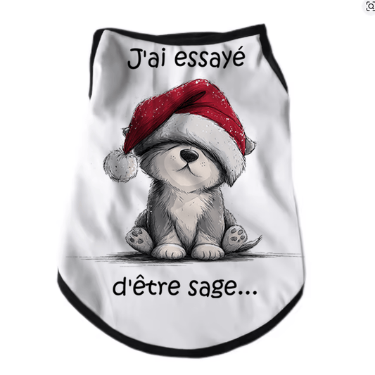 Atelier du Fourmilier tee-shirt T-shirt de Noël pour chien « J’ai essayé d’être sage… »
